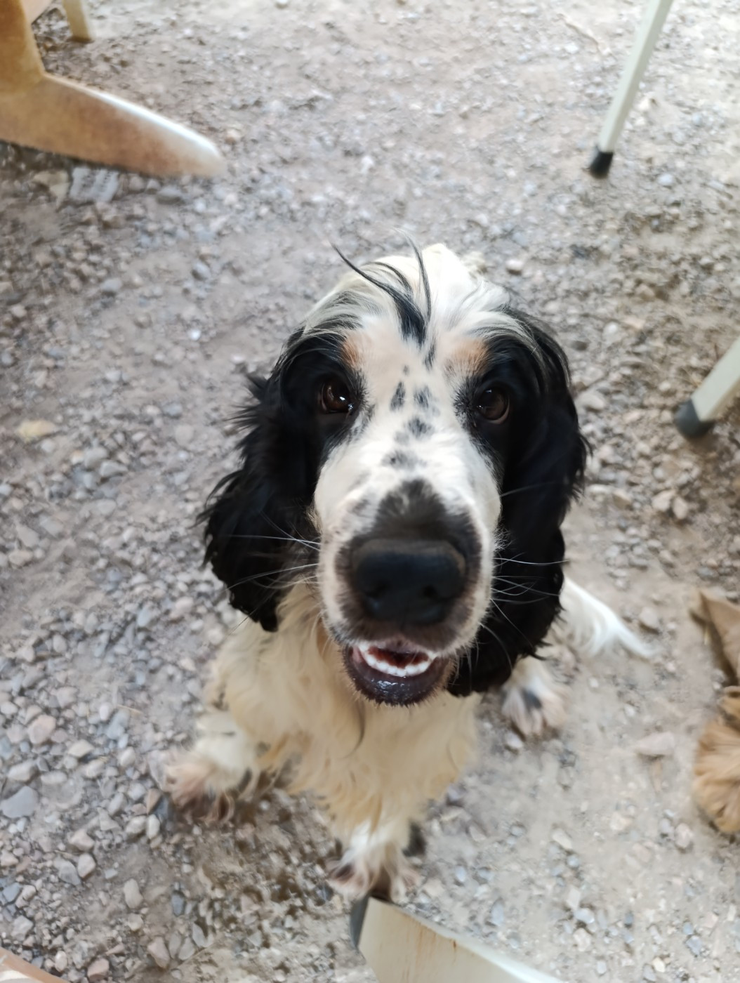 ulcia Du domaine des clayeux